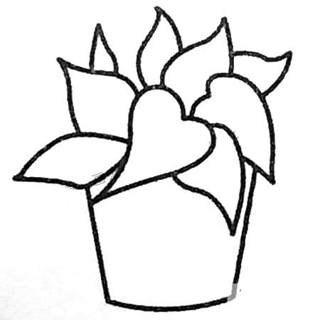 Simple drawing pictures of green leafy plants bonsai