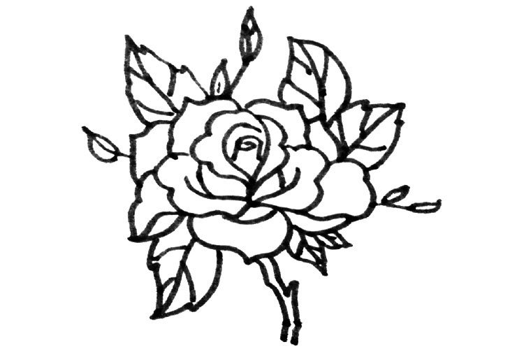 Various ways to draw roses