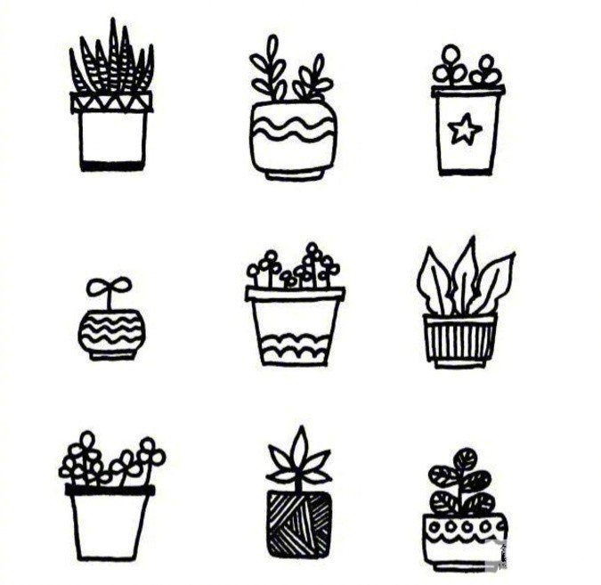 A complete collection of simple black and white sketches of potted plants