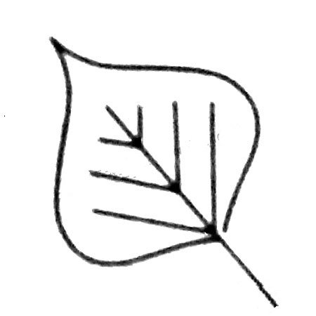 Complete collection of simple leaf sketches