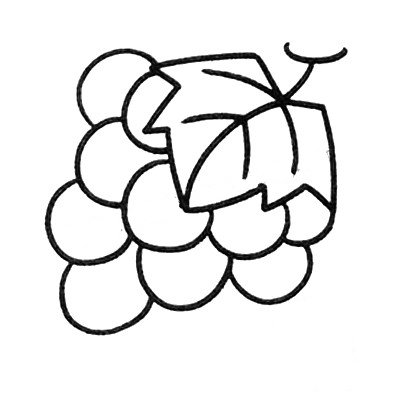 Simple Drawing for Intermediate Grapes