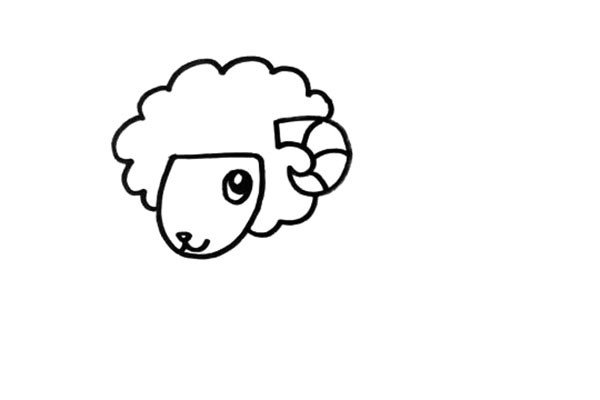 gentle sheep