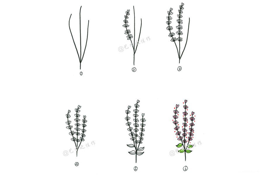 A set of simple drawing methods of beautiful small plants