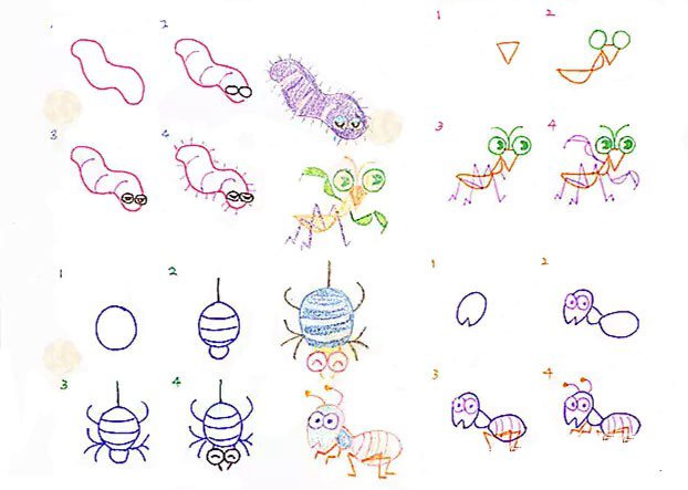 A complete collection of simple drawings of insects for children