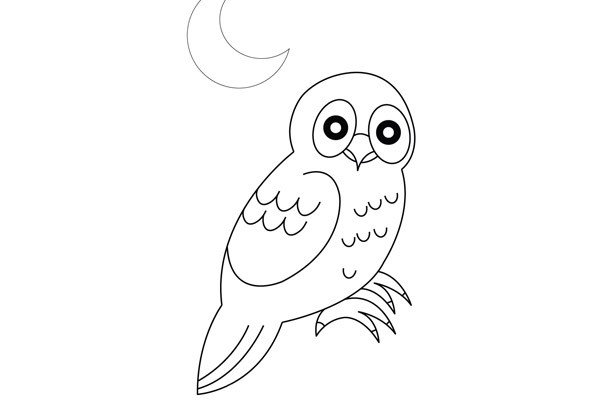 Detailed steps for drawing an owl in simple strokes