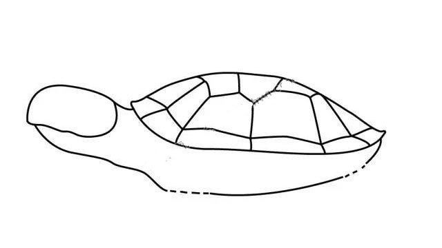 Learn to draw step by step: turtle