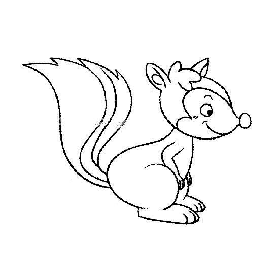 Ten simple drawing pictures of squirrels