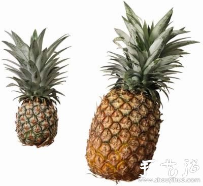 Illustrated tutorial on growing pineapples at home