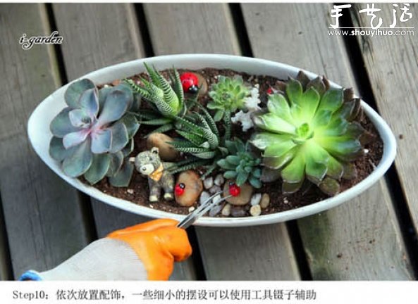 Succulents Handmade Potted DIY