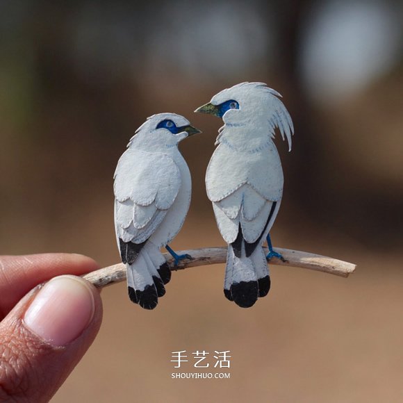 365 days of persistence! Paper-cutting made miniature lovebirds and orioles...