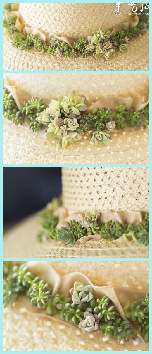 DIY straw hat made with succulent plants