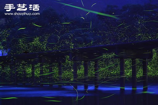 Japanese photographer Takehito Miyatakes stunning nature and landscape photography