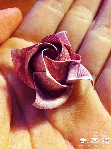 Fukuyama Rose Folding Illustration