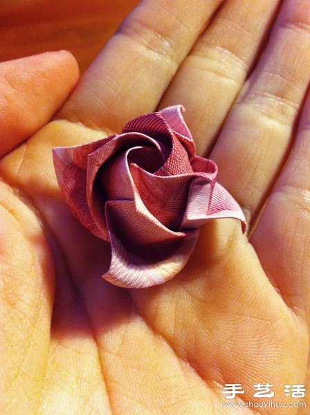 Fukuyama Rose Folding Illustration