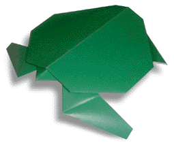 How to Origami a Green Turtle