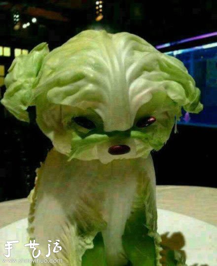 Vegetables DIY lifelike animals