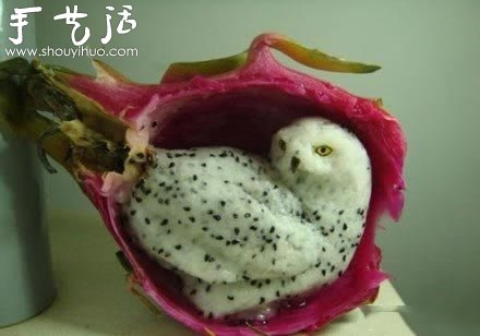 The Owl of Dragon Fruit DIY