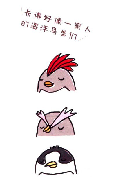 Draw a cute simple drawing of a silly fat penguin in four steps