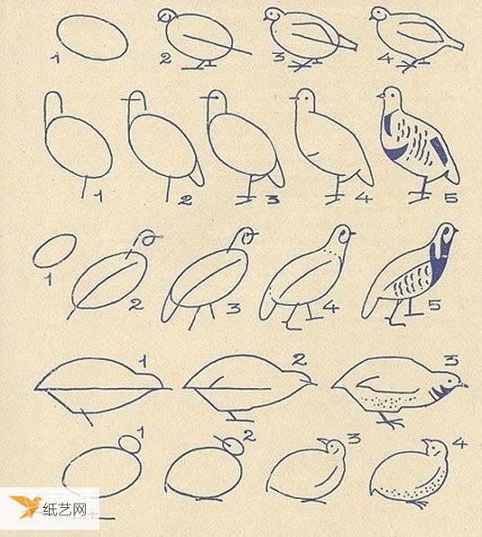 Very simple and easy to learn simple drawing pictures of different forms of animals