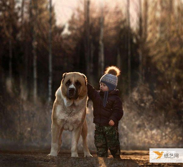 Appreciate the warm photography of a very cute little boy and animals