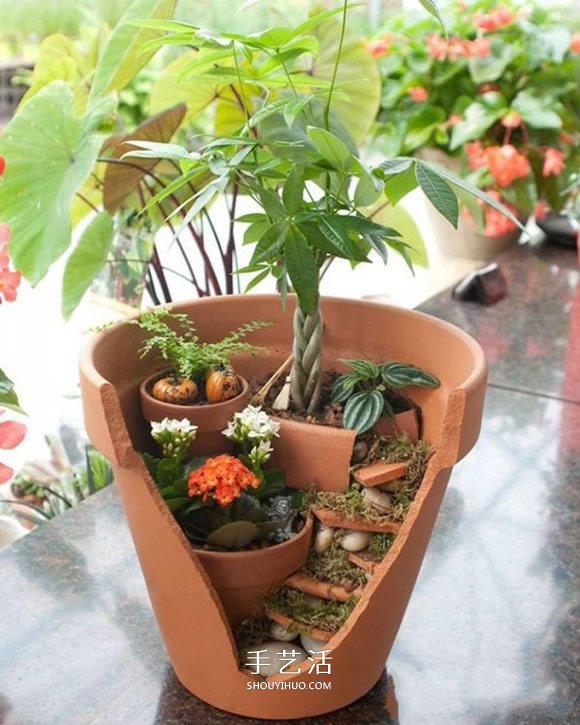 How to reuse broken flower pots to create personalized bonsai