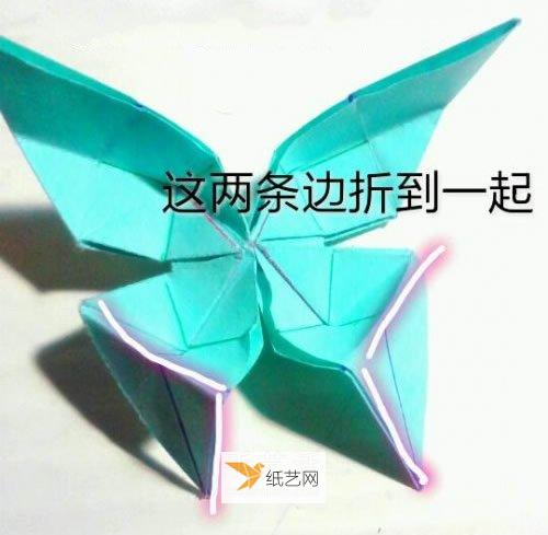 Illustrated tutorial for hand folding origami swallowtail butterfly