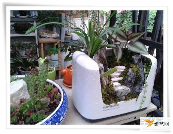 A beautiful miniature garden bonsai made from an old toaster