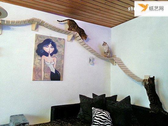 The unique cat climbing frame that makes cats and cats happy like an aerial paradise