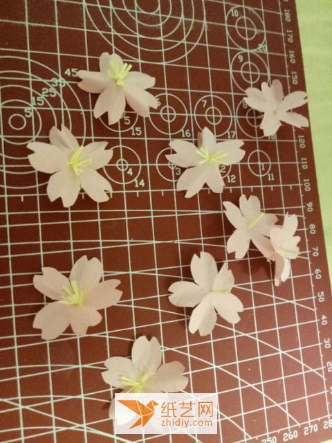 Elegant and beautiful paper art cherry blossom hand-painted Teachers Day gift making tutorial