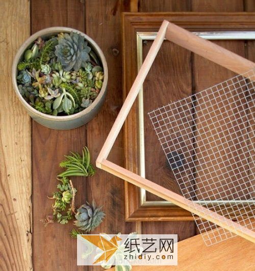 Use waste materials to turn waste into treasures and make beautiful succulent photo frames as Teacher’s Day gifts