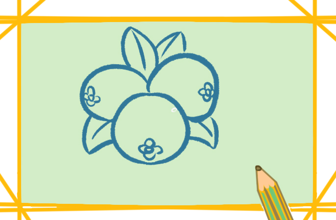 Simple drawing of golden loquat