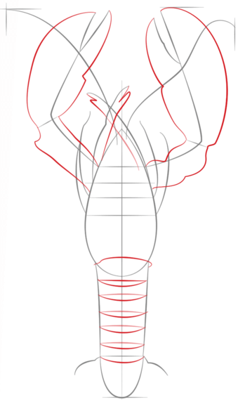 How to Draw a Lobster