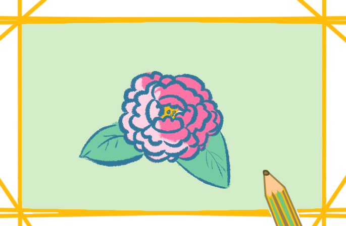 Simple drawing of colored peonies