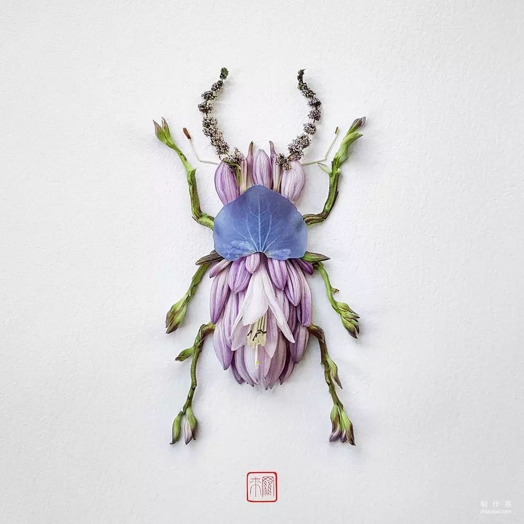 Make an insect world out of petals and leaves