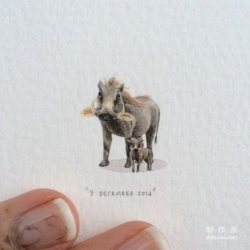 Some fresh, delicate and cute hand-painted illustrations of small animals