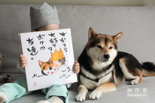 Warm growth and thin, happy life of Icha and Shiba Inu Maru