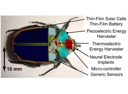 Self-generating mechanical insect