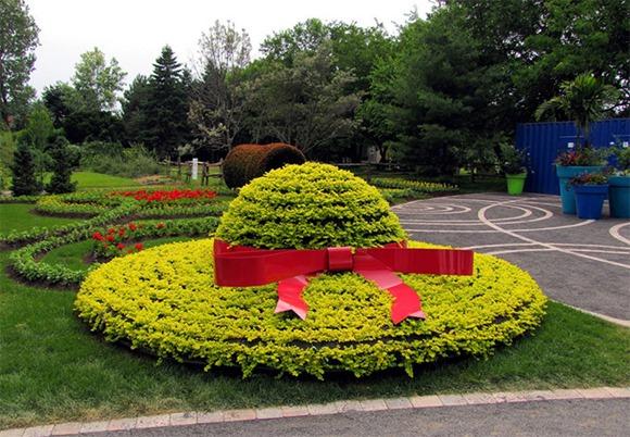 International three-dimensional flower bed competition