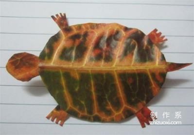 Use leaves to make turtle specimens, use leaves to make small turtle graphics, leaf collage crafts