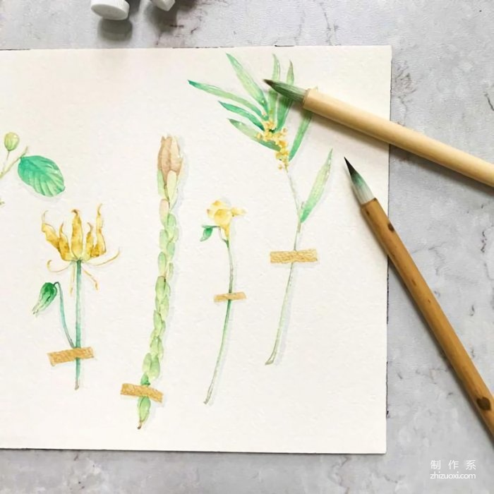 Small fresh plant watercolor in light tones