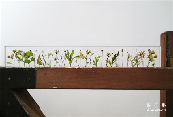 Poetic Garden Ruler