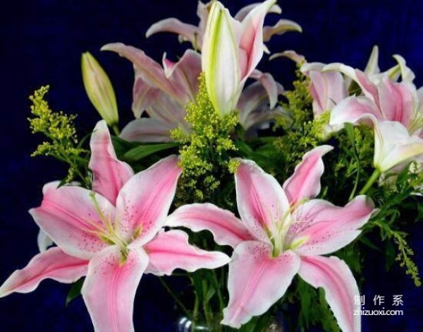 What is the flower language of lilies? Be careful if you send flowers to the wrong person, you will regret it for the rest of your life!