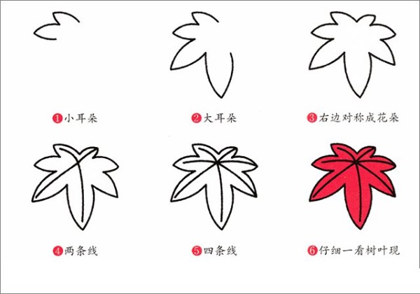 How to draw maple leaves