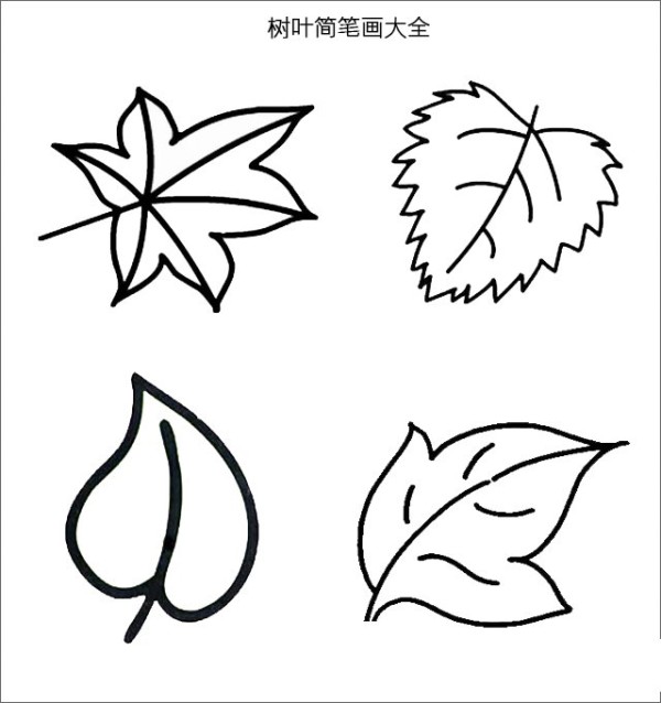 Complete collection of simple strokes of leaves