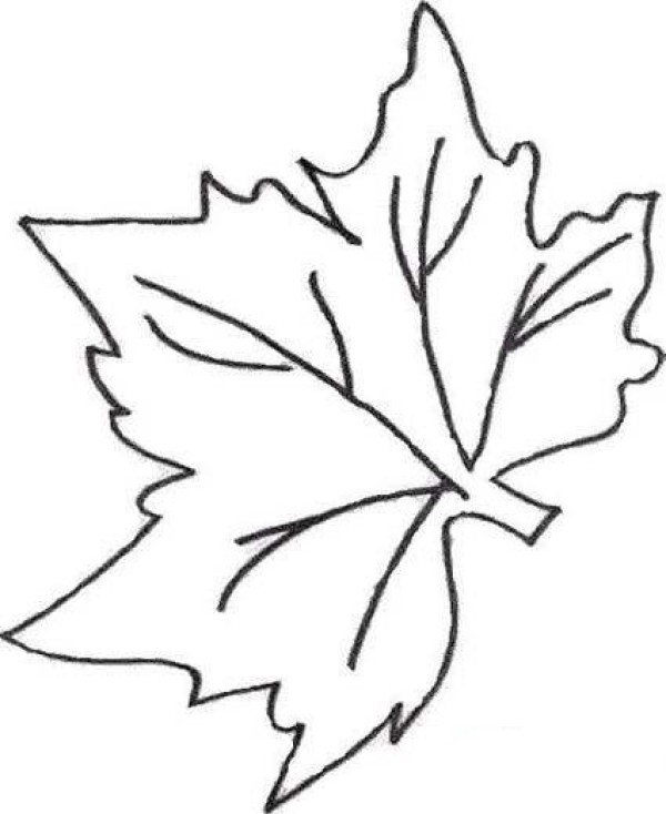 Simple strokes of grape leaves