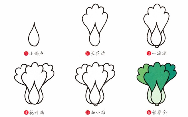 How to draw cartoon simple Chinese cabbage