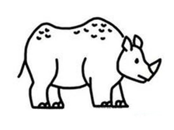 Primary school students' simple drawing pictures of rhinoceros