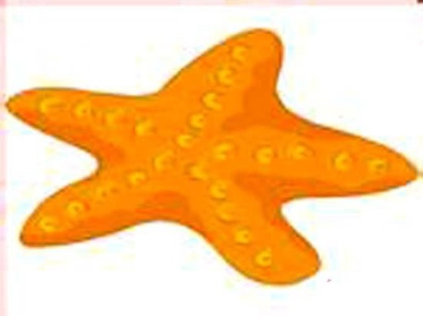 Childrens simple drawing pictures of colorful starfish