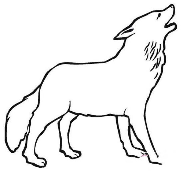 Domineering wolf simple drawing picture