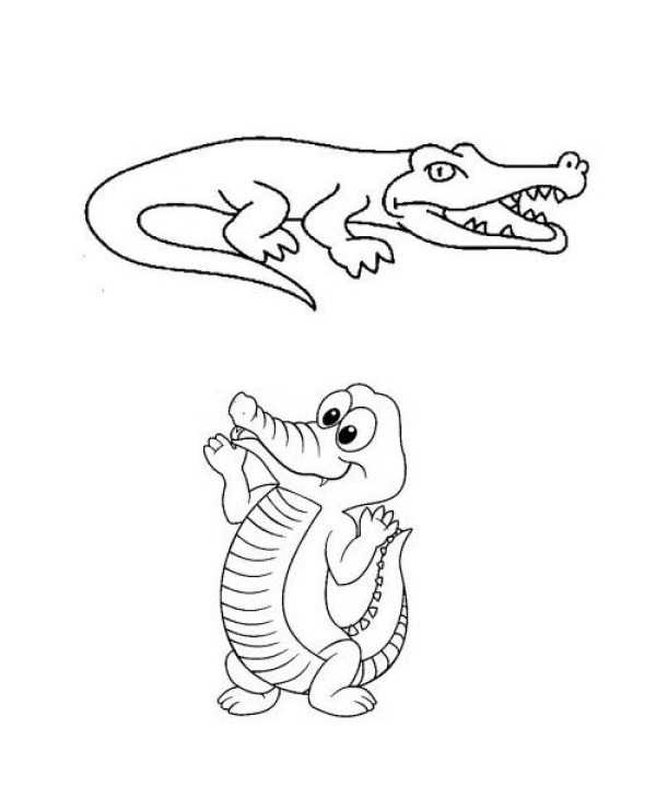 Crocodile simple drawing picture